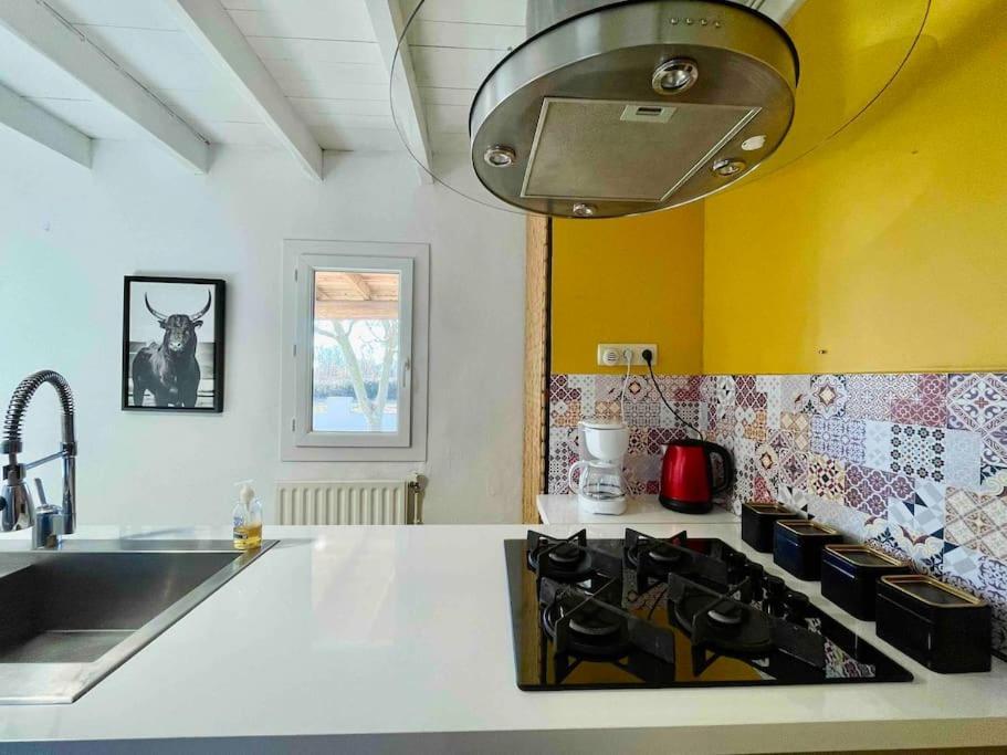 Vakantiehuis Magnifique 12 Couchages *